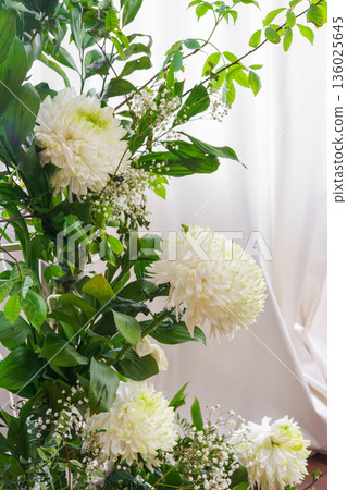 White chrysanthemum flowers near window with white curtains in bright natural light, copy space White chrysanthemum flowers near window with white curtains in bright natural light, copy space 136025645
