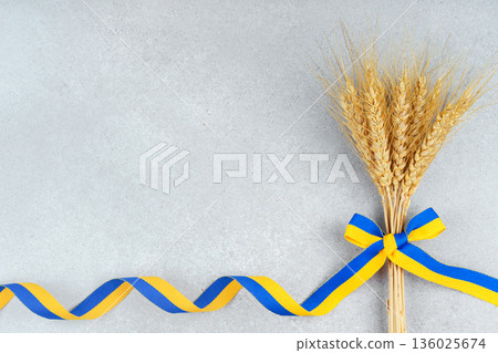 Wheat ears with blue and yellow ribbon on gray background with copy space, symbol of Ukraine 136025674