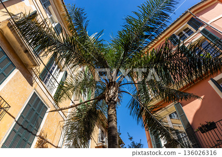 Worm's eye view of a street corner in the historic town center of Palma, Majorca, Mallorca, Balearic Islands, Spain, Europe Worm's eye view of a street corner in the historic town center of Palma, Majorca, Mallorca, Balearic Islands, Spain, Europe 136026316