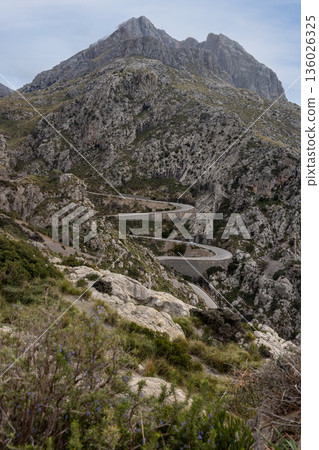 Serpentine road to the Sa Calobra bay in the Serra de Tramuntana mountains in front of the Puig Major peak, Mallorca, Balearic Islands, Spain, Europe 136026325