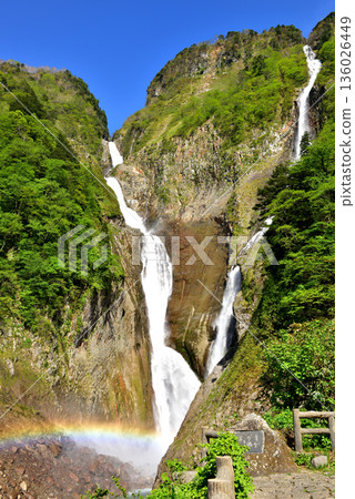 Fresh green Shomyo Falls and rainbow 136026449