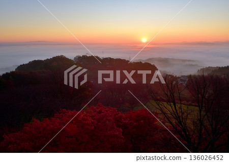 A sea of clouds spreading across the Hitachi Plateau from Sannozan Observatory (tower) 136026452