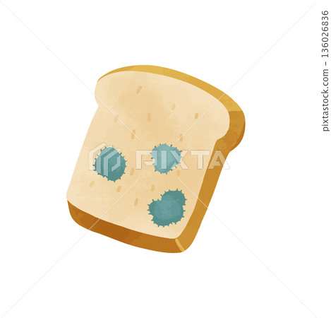 Blue moldy bread watercolor vector hand-drawn illustration Blue moldy bread watercolor vector hand-drawn illustration 136026836