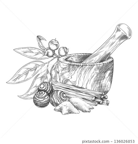 Sandalwood tree products sketch, vector hand drawn engraved leaves and seeds, mortar, powder, wooden balls and sticks Sandalwood tree products sketch, vector hand drawn engraved leaves and seeds, mortar, powder, wooden balls and sticks 136026853