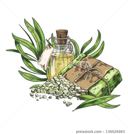 Tea tree green leaves, soap and essential oil jug sketch, vector hand drawn organic cosmetics and tea drink products 136026865
