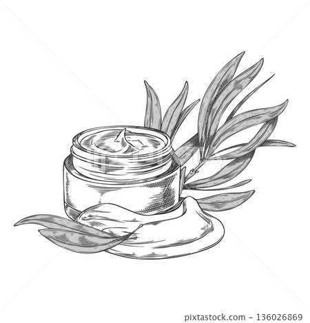 Monochrome sketch of a body cream jar with tea tree leaves, hand-engraved. 136026869