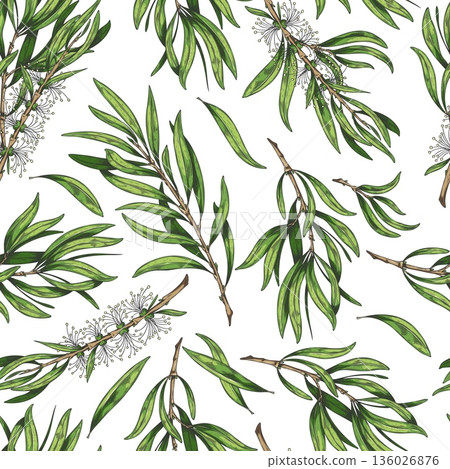 Seamless wallpaper with hand-drawn watercolor tea tree branches with green leaves and flowers. 136026876