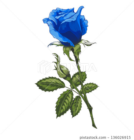 Vintage rose on a branch with leaves, bud, and blue flower. 136026915