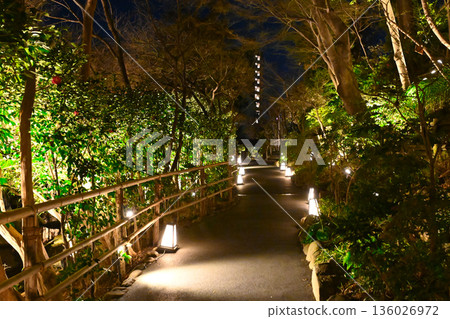 椿山莊的夜景 136026972