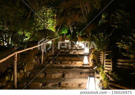 椿山莊的夜景 136026973