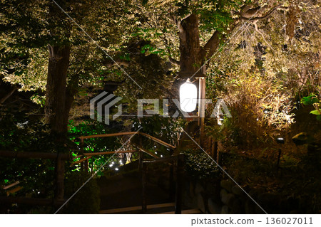 椿山莊的夜景 椿山莊的夜景 136027011