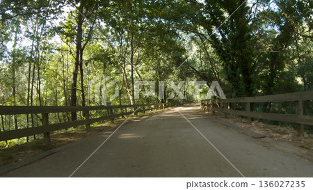 Point of view shot of riding a bicycle 136027235