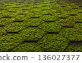 Mossy roof tiles texture, vintage, natural, green, brown, close-up, background, rustic, old, green. 136027377