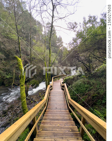 Path to the Stream 136027608