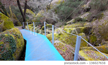 Walkway trilho dos Gaios Walkway trilho dos Gaios 136027638