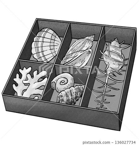 Coral and shells_monochrome Coral and shells_monochrome 136027734