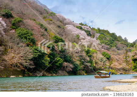 Spring in Arashiyama and houseboats in Kyoto 136028163