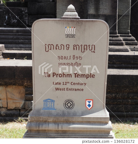 Cambodia Ta Prohm Ruins 136028172