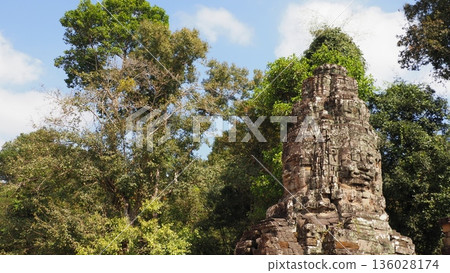 Cambodia Ta Prohm Ruins Cambodia Ta Prohm Ruins 136028174