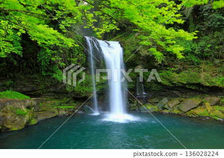 Jion Falls with fresh greenery (Kuju Town, Oita Prefecture) Jion Falls with fresh greenery (Kuju Town, Oita Prefecture) 136028224