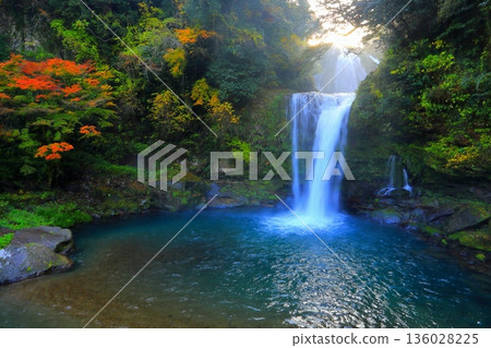 Jion Falls in the autumn sunshine (Kuju Town, Oita Prefecture) 136028225