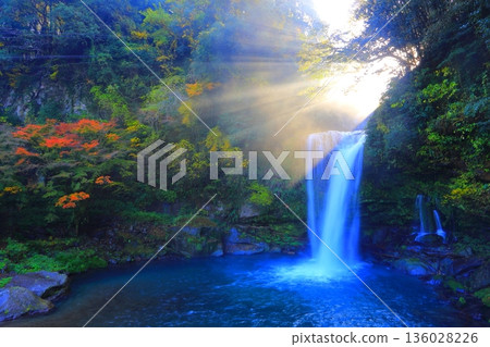 Jion Falls in the autumn sunshine (Kuju Town, Oita Prefecture) Jion Falls in the autumn sunshine (Kuju Town, Oita Prefecture) 136028226