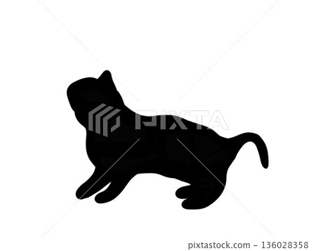 Silhouette of a standing cat Silhouette of a standing cat 136028358