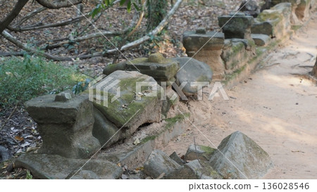 吳哥窟崩密列遺址 136028546