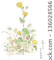 Watercolor illustration of sowweed blooming in a winter field 136028566