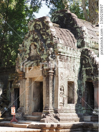 Cambodia Ta Prohm Ruins Cambodia Ta Prohm Ruins 136028697