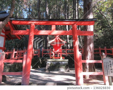 Kasuga Taisha Saraki Shrine God of prosperity in business Kasuga Taisha Saraki Shrine God of prosperity in business 136028830