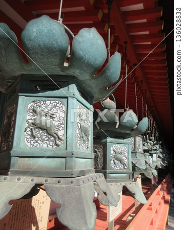 Kasuga Taisha Shrine - A donated fishing lantern in front of the inner gate Kasuga Taisha Shrine - A donated fishing lantern in front of the inner gate 136028838