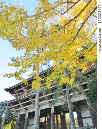 Todaiji Temple: Autumn leaves and the Great South Gate Todaiji Temple: Autumn leaves and the Great South Gate 136028871