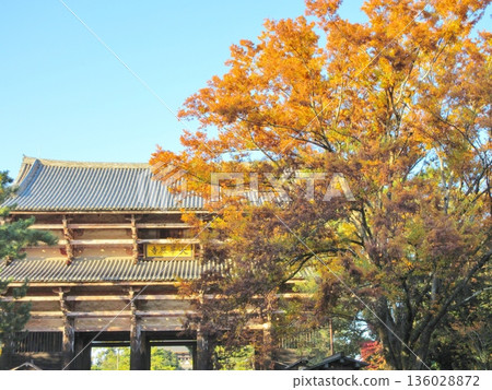 Todaiji Temple: Autumn leaves and the Great South Gate 136028872