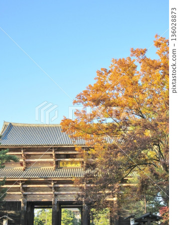 Todaiji Temple: Autumn leaves and the Great South Gate Todaiji Temple: Autumn leaves and the Great South Gate 136028873