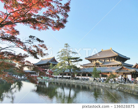 Todaiji Temple Kagami的大佛堂 136028875