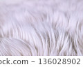 Close-up of fluffy white fur 03 136028902