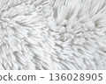 Close-up of fluffy white fur 06 136028905