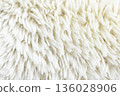 Close-up of fluffy white fur 07 136028906