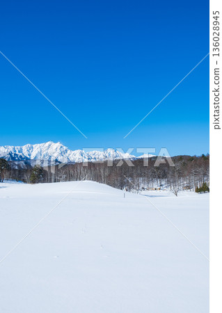 Nakayama Plateau Snow Trekking (View of the Northern Alps) Nakayama Plateau Snow Trekking (View of the Northern Alps) 136028945