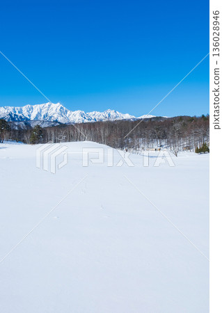 中山高原雪地健行（北阿爾卑斯山景色） 136028946
