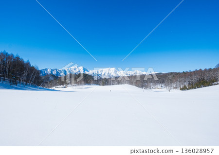 Nakayama Plateau Snow Trekking (View of the Northern Alps) Nakayama Plateau Snow Trekking (View of the Northern Alps) 136028957