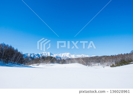 Nakayama Plateau Snow Trekking (View of the Northern Alps) Nakayama Plateau Snow Trekking (View of the Northern Alps) 136028961