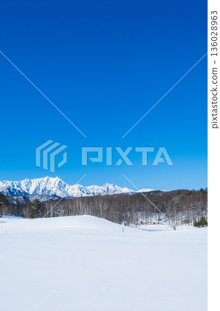 中山高原雪地健行（北阿爾卑斯山景色） 136028963
