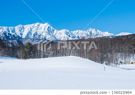 Nakayama Plateau Snow Trekking (View of the Northern Alps) 136028964