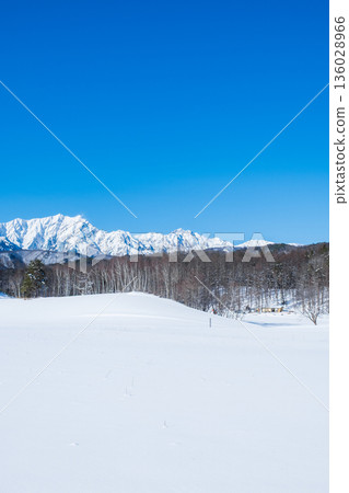 Nakayama Plateau Snow Trekking (View of the Northern Alps) Nakayama Plateau Snow Trekking (View of the Northern Alps) 136028966