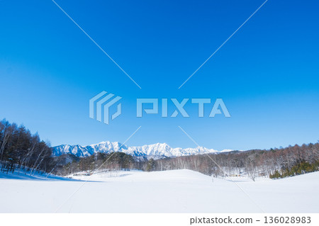 Nakayama Plateau Snow Trekking (View of the Northern Alps) Nakayama Plateau Snow Trekking (View of the Northern Alps) 136028983