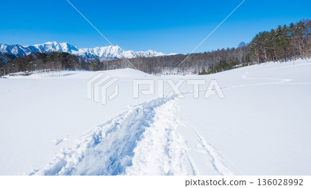 中山高原雪地健行（北阿爾卑斯山景色） 136028992