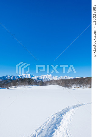 中山高原雪地健行（北阿爾卑斯山景色） 136028995