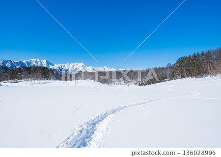 中山高原雪地健行（北阿爾卑斯山景色） 136028996